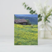 Italien, Toskana, Siena, Chianti. Postkarte (Stehend Vorderseite)