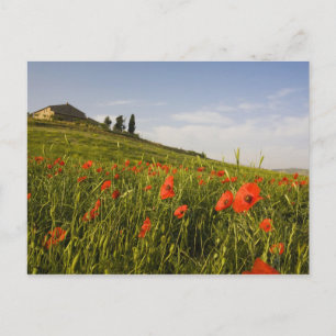 Italien, Toskana, Toskanische Villa im Frühling mi Postkarte
