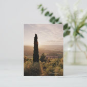 Italien, Toskana, Val d'Orcia, Montalcino Postkarte (Stehend Vorderseite)