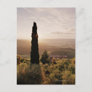 Italien, Toskana, Val d'Orcia, Montalcino Postkarte
