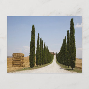 Italien. Toskana. Val d'Orcia (Orcia-Tal) 3 Postkarte