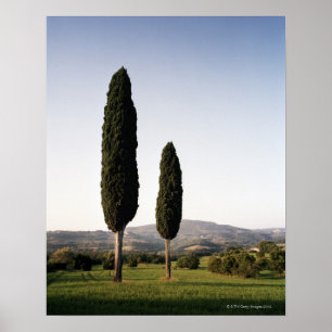 Italien, Toskana, Val d'Orcia Poster