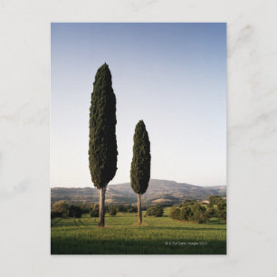 Italien, Toskana, Val d'Orcia Postkarte