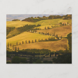 Italien, Toskana, ZigZag Road in Toskana. Postkarte