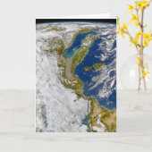 Italien und die Adria. Karte (Gelbe Blume)