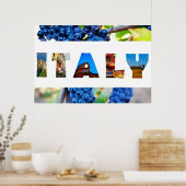 Italien Weinberg Fotos Poster (Küche)