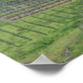 Italien Weingebiete Poster (Ecke)