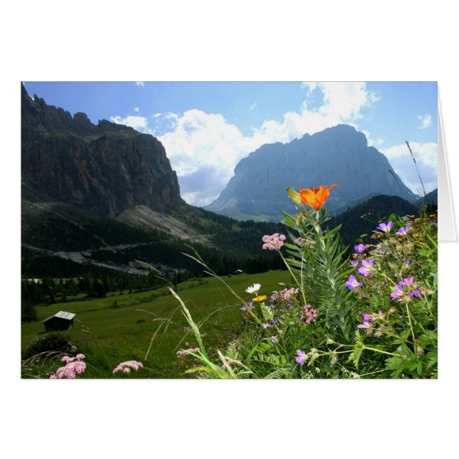 ITALIEN: Wildblumen, Dolomiten (Vorderseite (Horizontal))
