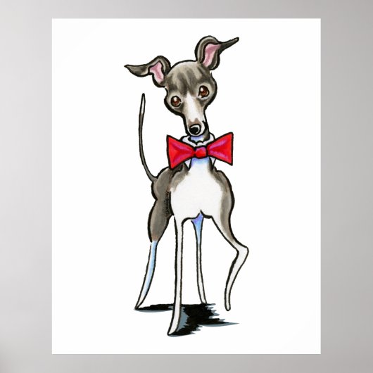 Italienisch Greyhound Antonio Poster (Vorne)