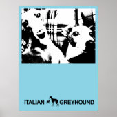 Italienisch Greyhound Blue Poster (Vorne)