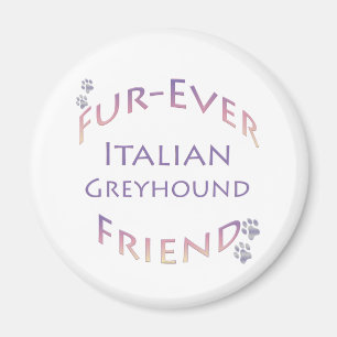 Italienisch Greyhound Furever Magnet