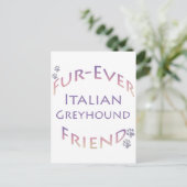 Italienisch Greyhound Furever Postkarte (Stehend Vorderseite)