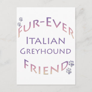 Italienisch Greyhound Furever Postkarte