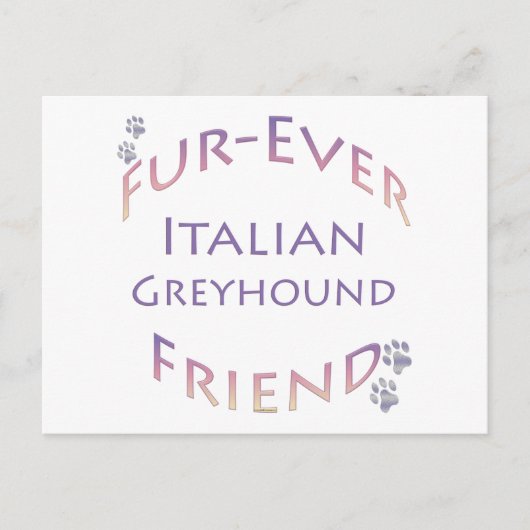 Italienisch Greyhound Furever Postkarte (Vorderseite)