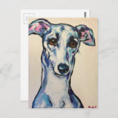 Italienisch Greyhound Postkarte (Vorne/Hinten)