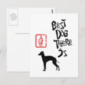 Italienisch Greyhound Postkarte (Vorne/Hinten)