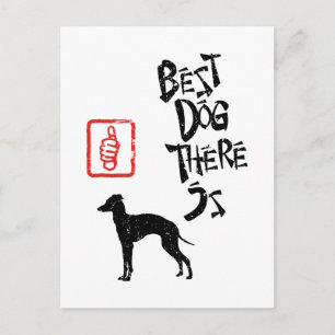 Italienisch Greyhound Postkarte