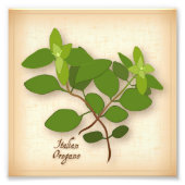 Italienisch Oregano Foto Print (Vorne)