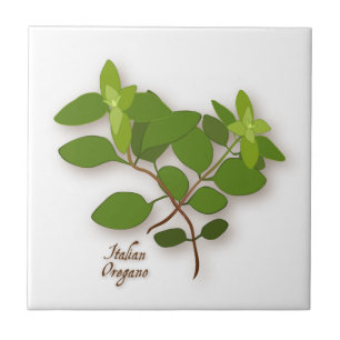 Italienisch Oregano Keramik Locarno Fliese