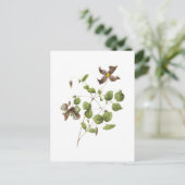 Italienische Blume aus Leder (Clematis) von Redout Postkarte (Stehend Vorderseite)
