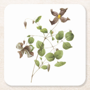 Italienische Blume aus Leder (Clematis) von Redout Rechteckiger Pappuntersetzer