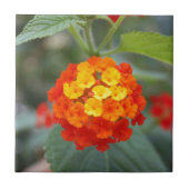 Italienische Blumen Fliese (Vorderseite)