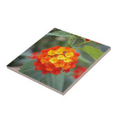 Italienische Blumen Fliese (Seite)