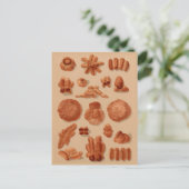 Italienische Breads Vintag Bakers Illustrationsdia Postkarte (Stehend Vorderseite)