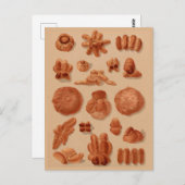 Italienische Breads Vintag Bakers Illustrationsdia Postkarte (Vorne/Hinten)