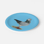 Italienische Eulegrizzle-Taube Pappteller (Schrägansicht)