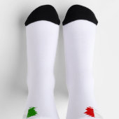 Italienische Flagge Socken (Oben)