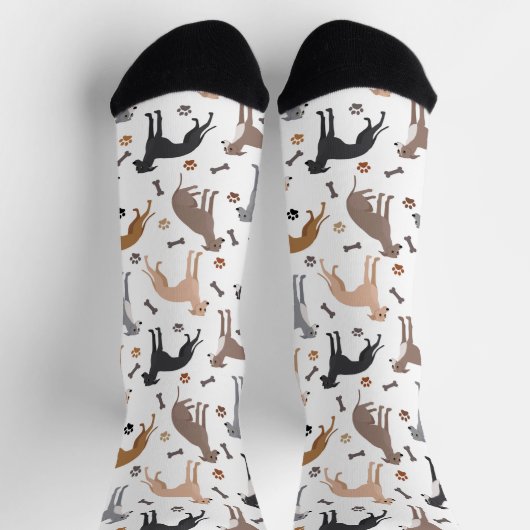 Italienische Grauhunde und Hunde Knochen und Paare Socken (Oben)
