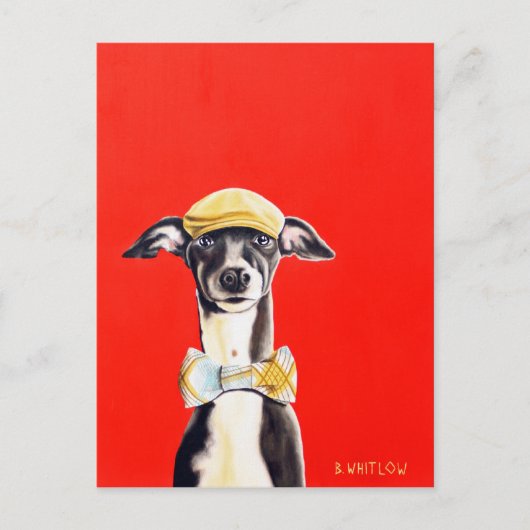 Italienische Greyhound Dog Postcard - Harry Postkarte (Vorderseite)