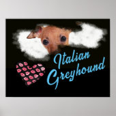 Italienische Greyhound Eyes Solide Farbe Poster (Vorne)