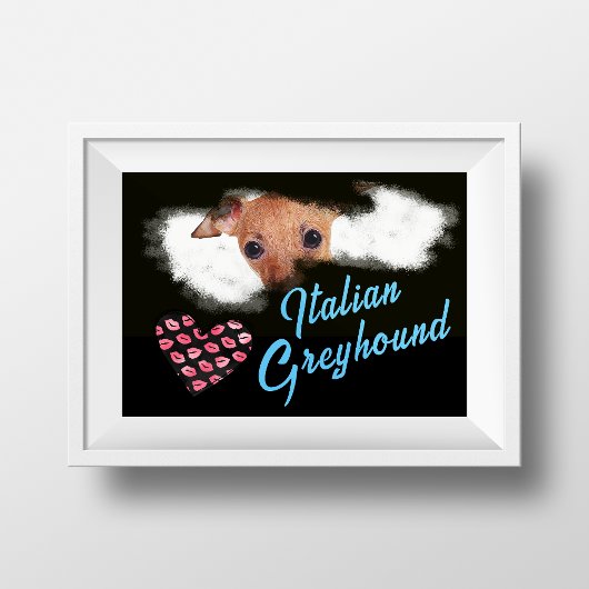 Italienische Greyhound Eyes Solide Farbe Poster