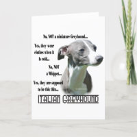 Italienische Greyhound FAQ