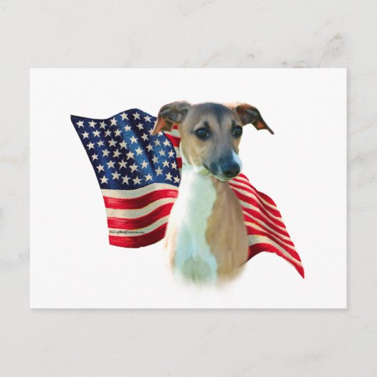 Italienische Greyhound-Flagge Postkarte (Vorderseite)