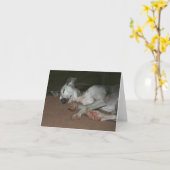 Italienische Greyhound-Karte #1 Karte (Gelbe Blume)