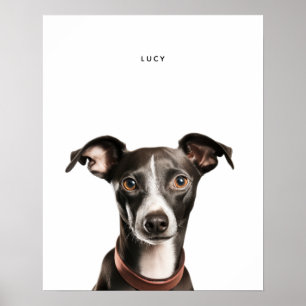 Italienische Greyhound Personalisiert Print Poster