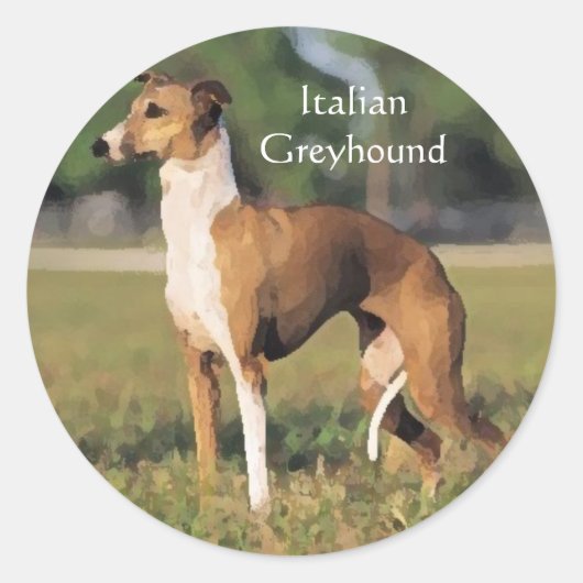 Italienische Greyhound Stickers (Vorderseite)