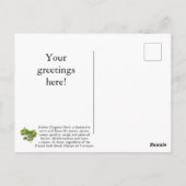 Italienische Karte (Rückseite)