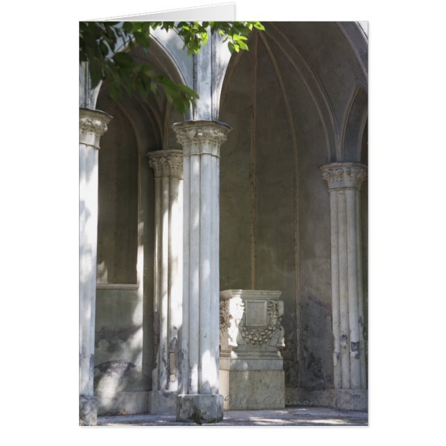 Italienische Karte, Landhaus Celimontana (Vorne)