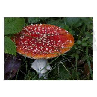 Italienische Karten, Borgo Valsugana