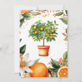 Italienische Kleine Süsse Orange Citrus Baby Dusch Einladung (Rückseite)