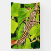 italienische Mauereidechse Banner (Vertikal)