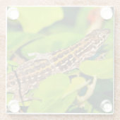 italienische Mauereidechse Glasuntersetzer (Rückseite)