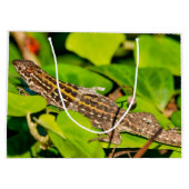 italienische Mauereidechse Große Geschenktüte (Rückseite)