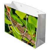 italienische Mauereidechse Große Geschenktüte (Rückseite Schrägansicht)