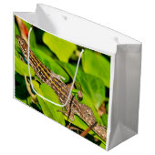 italienische Mauereidechse Große Geschenktüte (Vorderseite Schrägansicht)