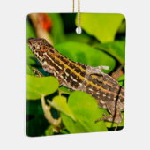 italienische Mauereidechse Keramikornament (Rechts)